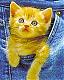tibbytabby