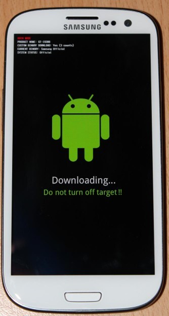 IMG 0722 bearbeitet (334 x 622)