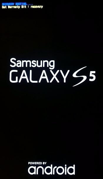 Recovery.thumb.jpg.a5d8886447a33195d38a3