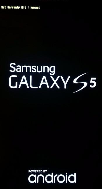 System.thumb.jpg.2384a814a85e592421ca8d2