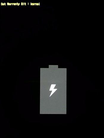 laden.thumb.jpg.af1d9808594cb04e8febf21d