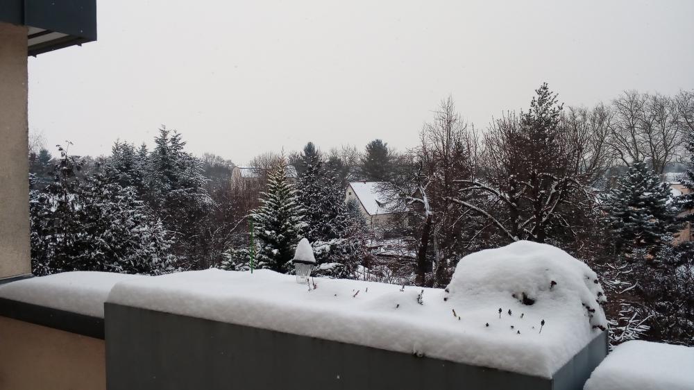 IMG_20150111_162744.thumb.jpg.f0276ba196