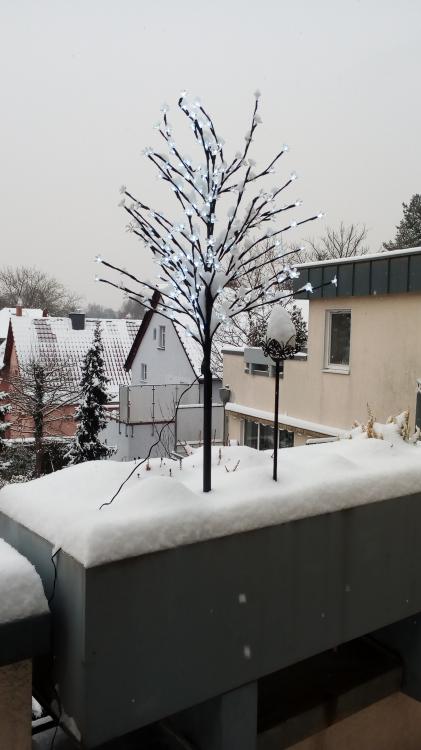 IMG_20150111_162754.thumb.jpg.f59e37f68b