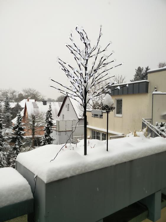 IMG_20160106_102635.thumb.jpg.14eefde9ca