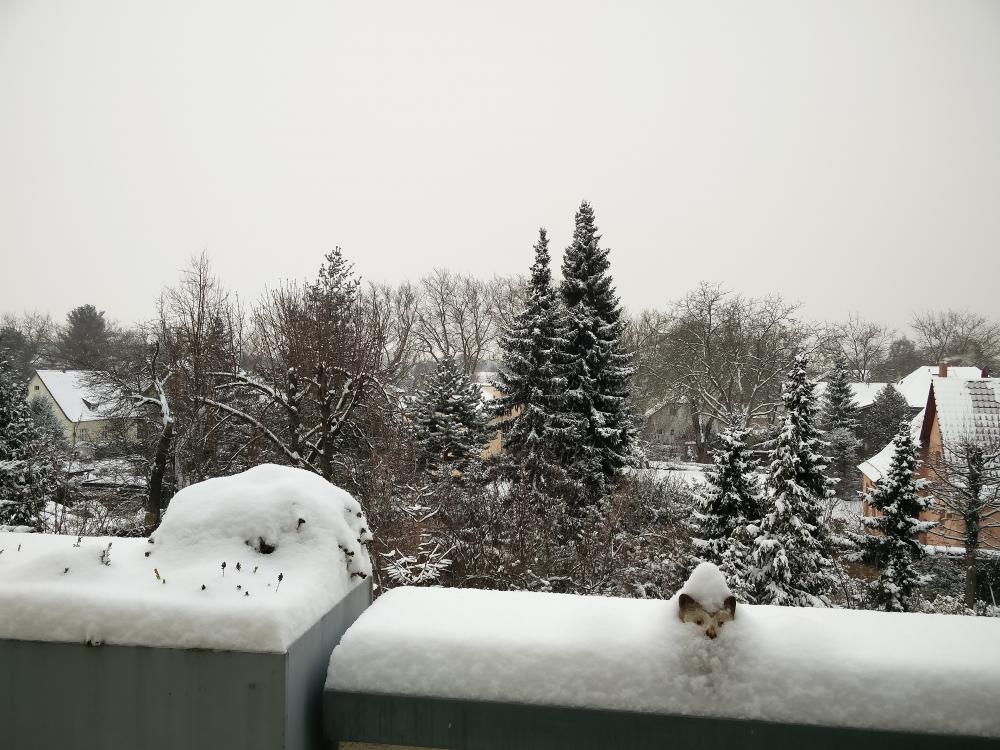 IMG_20160106_102647.thumb.jpg.6026f91e8a