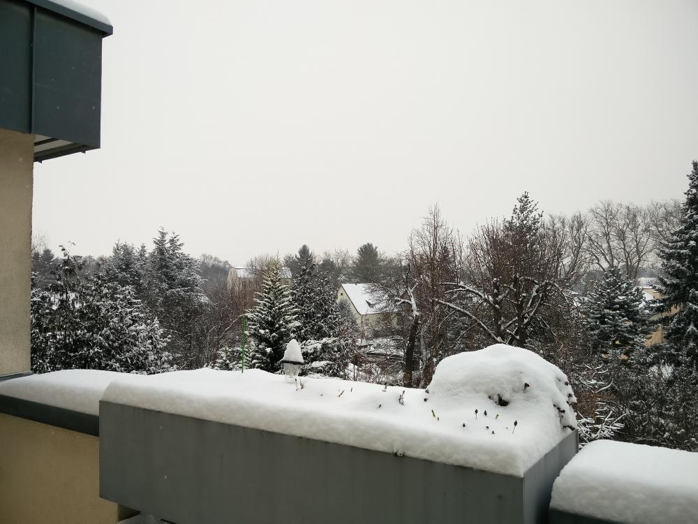 IMG_20160106_102654.thumb.jpg.aef0384e68