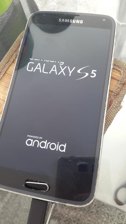 2016-03-28 13.43.27.jpg