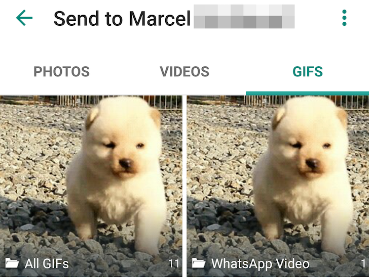 WhatsApp kann nun GIFs versenden.png