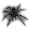 Net-Spider