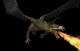 Feuerdrache67